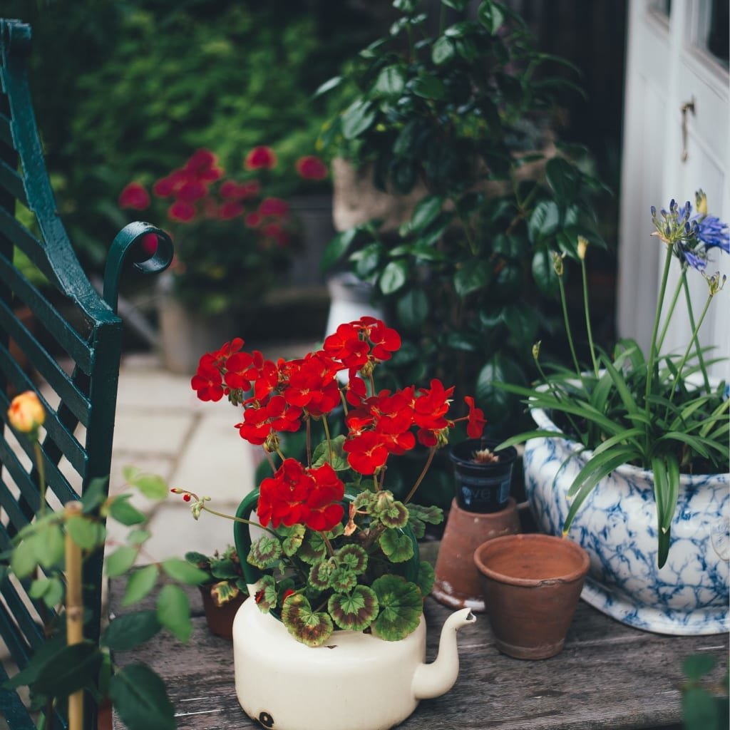 How To Do Container Gardening