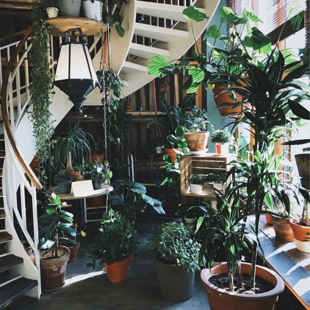 Patio Garden