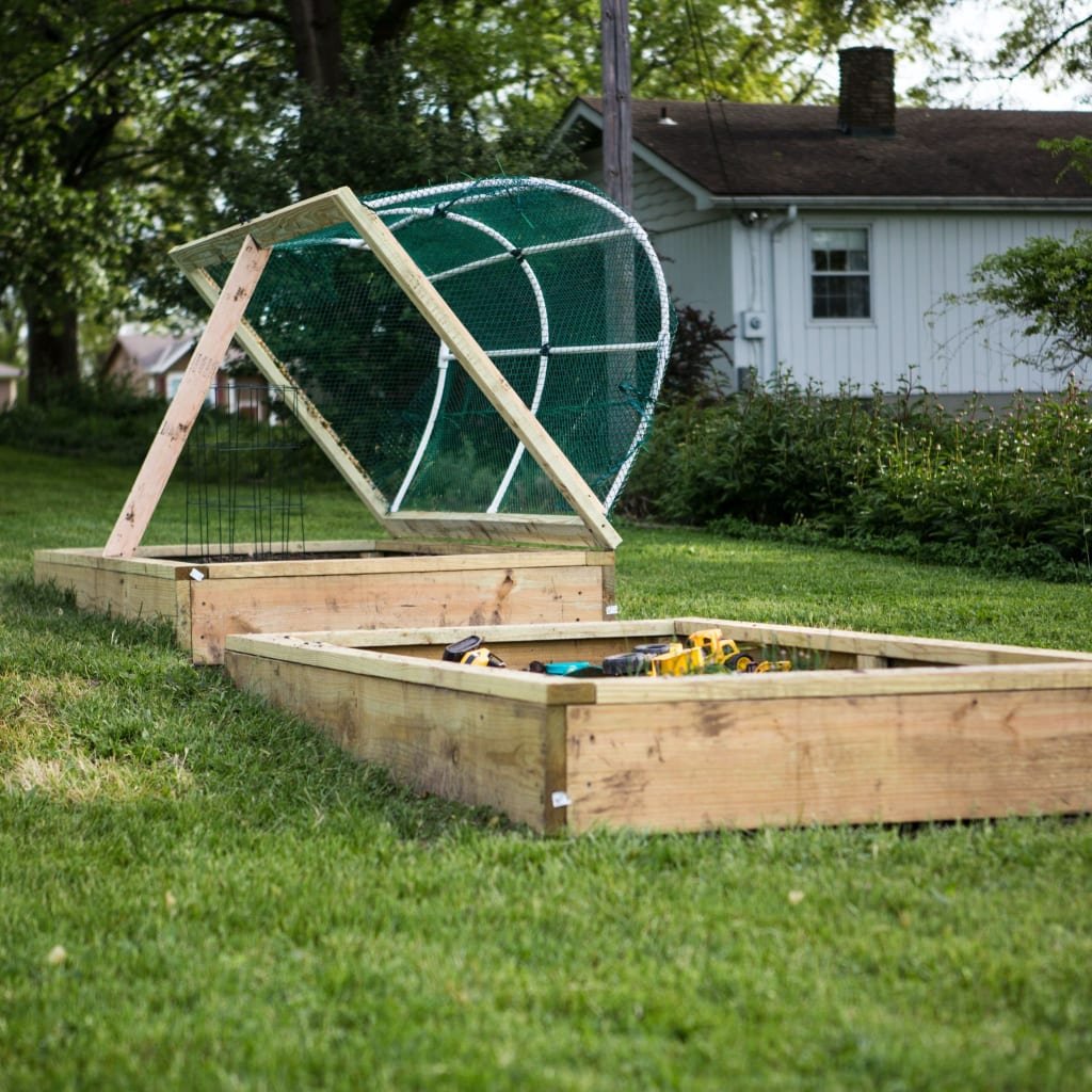 Raised Beds